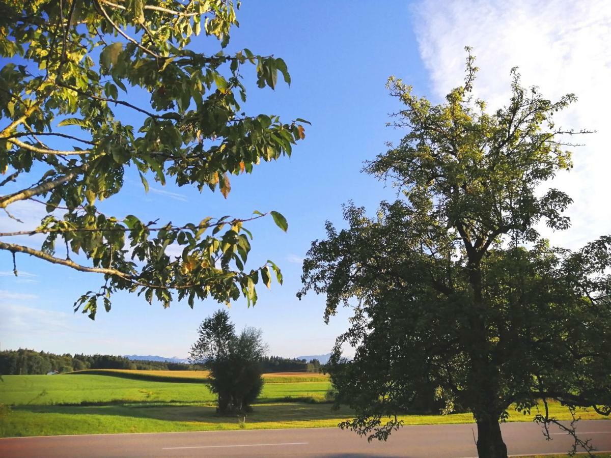 Ferienwohnung Moierhof Palling Eksteriør bilde